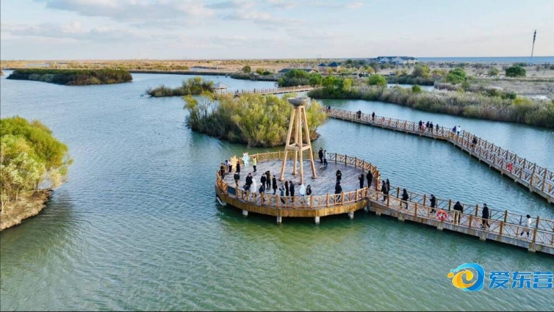 疑暴露了体 疑暴露了体