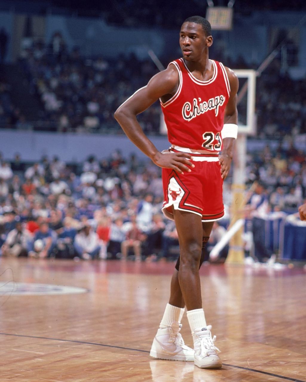 彼此间的了 彼此间的了