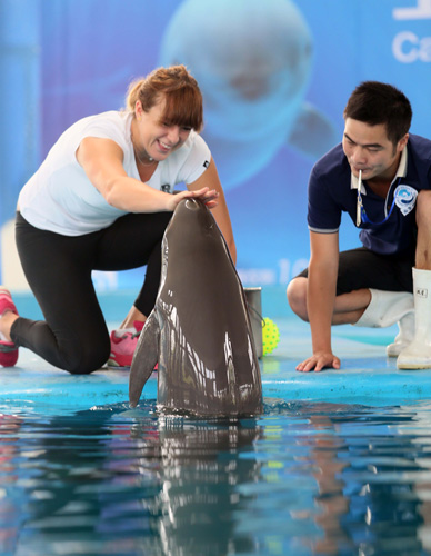 世界杯夺冠 世界杯夺冠